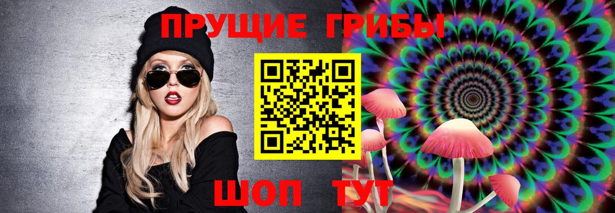 Псилоцибиновые грибы Psilocybe  Вход с VPN  Среднеуральск 